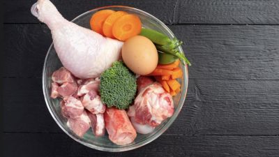 Kebutuhan Protein yang Tepat untuk Kesehatan Tubuh