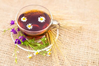 Apa Itu Teh Vervain? Ini Deretan Fakta Uniknya