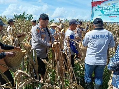 Polres Serang panen Raya Jagung Program Ketahanan Pangan Kuartal IV