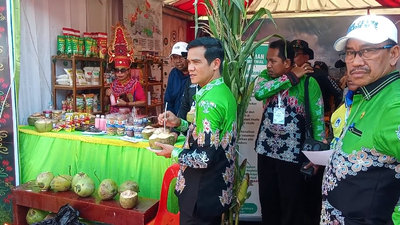 Nunukan Punya Kelapa Pandan wangi, Aromanya Harum dan Menyegarkan