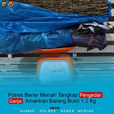 Satresnarkoba Bener Meriah Sita 1,2 Kg Ganja, Pelaku Tertangkap di Rumah Sewa