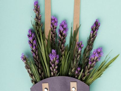 17 Ide Nama Toko Bunga Lavender yang Bikin Hati Adem
