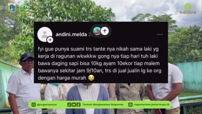 Klarifikasi Isu Pakan Harimau di Taman Margasatwa Ragunan