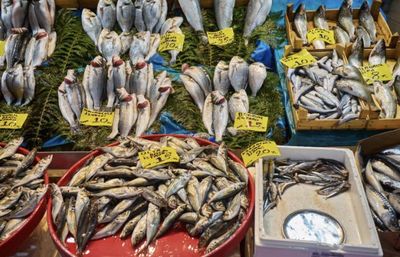 5 Ikan Tersehat untuk Dikonsumsi dan yang Sebaiknya Dihindari
