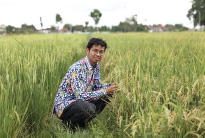 Kandungan Gizi Lebih Tinggi, UGM Luncurkan Beras Premium Presokazi