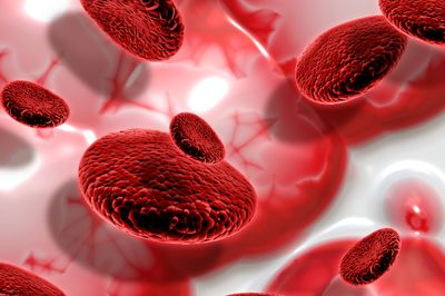 Golden Blood, Golongan Darah Paling Langka yang Hanya Dimiliki 50 Orang di Dunia