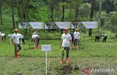 BNPB Perkuat Mitigasi Bencana Lewat Penanaman Vegetasi