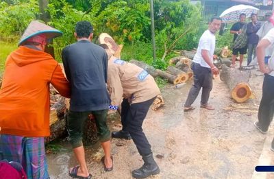 Cuaca Ekstrem, Polsek & Warga Bergerak Cepat Evakuasi Pohon Tumbang di Aceh Timur