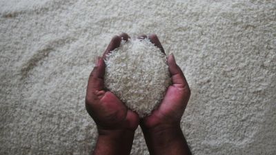 Kasus Beras Impor Ilegal: Nasib 250 Ton Beras di Tangan Pengadilan