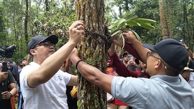 1.000 Pohon Konservasi Ditanam di Taman Nasional Gunung Merapi