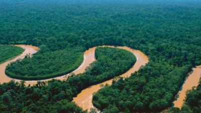 Fenomena Aliran Sungai Amazon: Menguak Sejarah Geologis yang Menarik