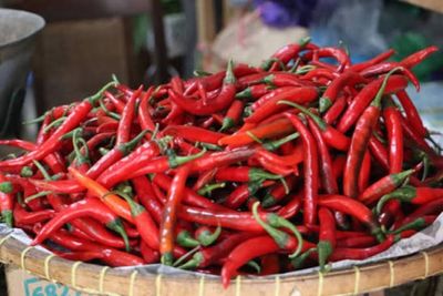 Usaha Catering di Kota Jambi Keluhkan Tingginya Harga Cabai