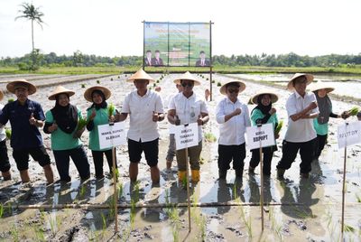 Wilayah Moyudan Dipilih Kementan Jadi Percontohan Kampung Peramalan Hama Tanaman di DIY