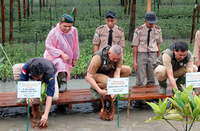 Dari Pesisir ke Masa Depan: Mangrove 8.307 Hektare Warnai Komitmen Sumut