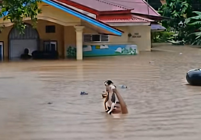 Viral! Aksi Heroik Pria Selamatkan Kucing di Tengah Banjir Sumbar