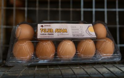 Dorong Lahirkan Peternak Gen Z, Lima Mahasiswa UNY Ini Ciptakan ChickenZ Telur Omega-3 Berbasis Smart Farming