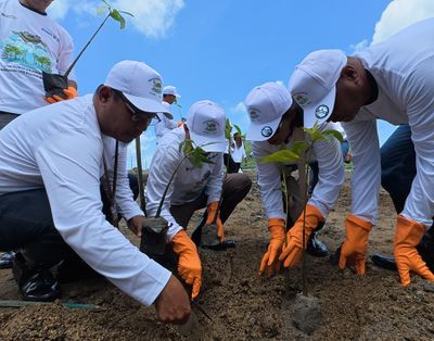 Menumbuhkan Harapan dari Akar Bumi: Komitmen PNM Hijaukan Negeri