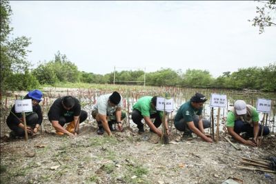 Cegah Abrasi dan Lestarikan Ekosistem Pesisir, Gus Yasin Bersama GPK Menanam Mangrove