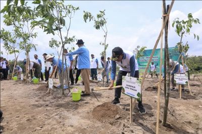 Tingkatkan Lahan Hijau Sumarno Tanam 650 Bibit Pohon di Magelang