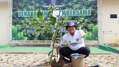 Jaga Kelestarian Hutan dengan Gerakan Menanam Pohon