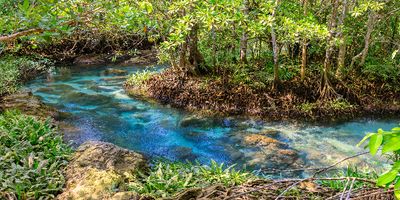 Mengulas Pesona Dari Ekowisata Mangrove di Desa Kulu