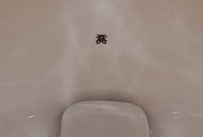 Alasan Kenapa Ada Gambar Lalat di Toilet Pria