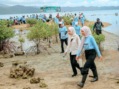 Jaga Kelestarian Alam, Pemprov bersama Instansi Lain Tanam 25.000 Mangrove