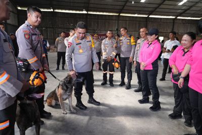 Tim K9 Dikerahkan Bantu Tim SAR Cari Korban Banjir dan Longsor di Sumut