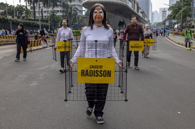 Aktivis Hewan Manfaatkan CFD untuk Menyoroti Sukarnya Komitmen Cage-Free di Indonesia kepada Publik