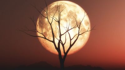 Fenomena Langit Menakjubkan Desember 2025 untuk Penggemar Astronomi di Indonesia