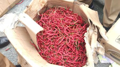 Atasi Kelangkaan, Pemprov Riau Kirim 1 Ton Cabai Merah dari Sleman