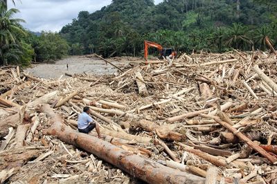 Terkait Bencana Sumatera, 28 Perusahaan Dicabut Izinya dan Sudah Tak Beroperasi