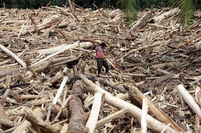 Soal Kayu Gelondongan Terbawa Banjir di Sumatera, Kapolri: Ada Pelanggaran Hukum, Kita Proses!