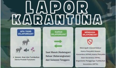 Sultra Catat Ribuan Sertifikasi Ekspor Sepanjang 2025, Pengawasan Karantina Diperketat