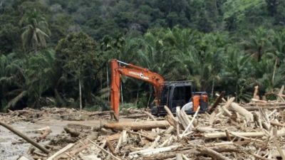 Banjir di Aceh dan Sumatera: Penemuan Kayu Gelondongan Terkait Pembalakan Ilegal