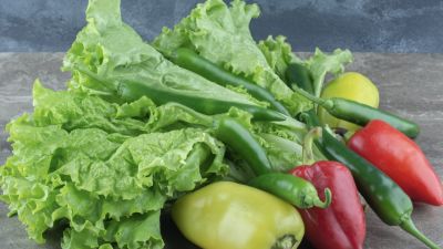 Manfaat Kesehatan dari Konsumsi Sayur Hijau Secara Rutin