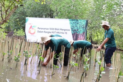 Pengelola Tol Bakter Lampung Tanam Seribu Bibit Mangrove di Wilayah Konservasi