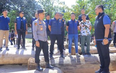 Polda Lampung Dalami Adanya Dugaan Ilegal Logging di Pesisir Barat