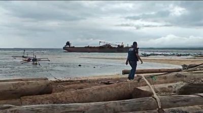 Gubernur Lampung Sebut Kayu Terdampar di Tanjung Setia Bukan Hasil Illegal Logging