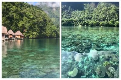 Mengintip Keindahan Pantai Ora Maluku yang dijuluki Jurassic Park Indonesia, Cara Menuju dan Biaya Masuk