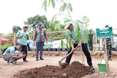 Belasan Ribu Pohon Mulai Hijaukan Tanah yang Pernah Terluka