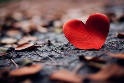 17 Ucapan Singkat Romantis yang Bikin Pasangan Merasa Paling Disayangi Sedunia