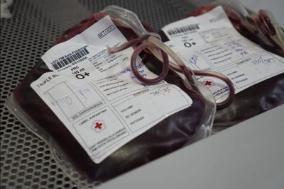Stok Darah PMI Pekalongan Menurun, PMI Lakukan Strategi dan Himbauan Pada amasyarakat