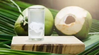 Mitos dan Kenyataan Manfaat Air Kelapa Muda untuk Ibu Hamil