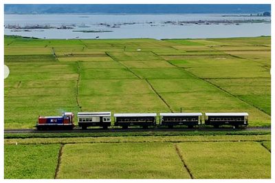 Ada Wisata Mirip Ghibli di Ambarawa, Museum Kereta Suguhkan Wisata Nostalgik