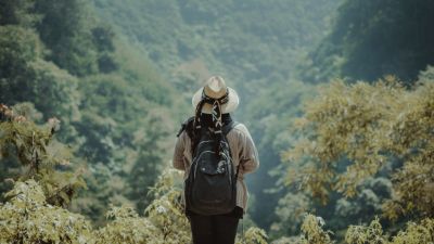 Koneksi dengan Alam: Menemukan Ketenangan di Tengah Kesibukan