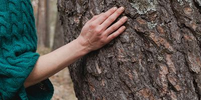 Hilang Semenjak November, Lansia Yang Hilang Ditemukan Tanpa Nyawa Dalam Hutan