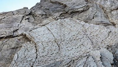 Ribuan Jejak Dinosaurus Ditemukan di Tebing Alpen Dekat Lokasi Olimpiade Musim Dingin
