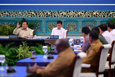 Papua Prioritas Pangan dan Energi: Presiden Prabowo Dorong Sawit, Singkong, dan Tebu untuk Swasembada