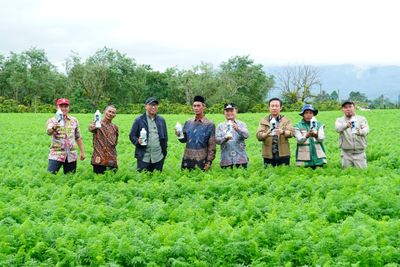 Tinjau Sentra Sayur di Sukau, Gubernur Lampung Instruksikan Proteksi Harga Panen Petani dan Siapkan Hilirisasi